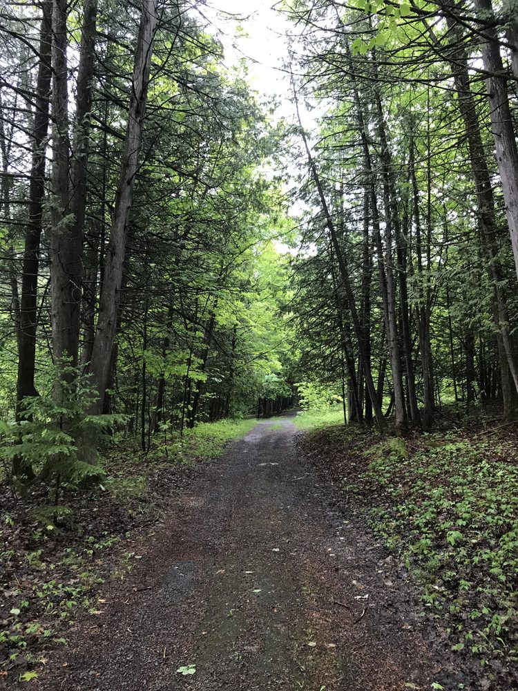 Arnprior, Canada. 2020