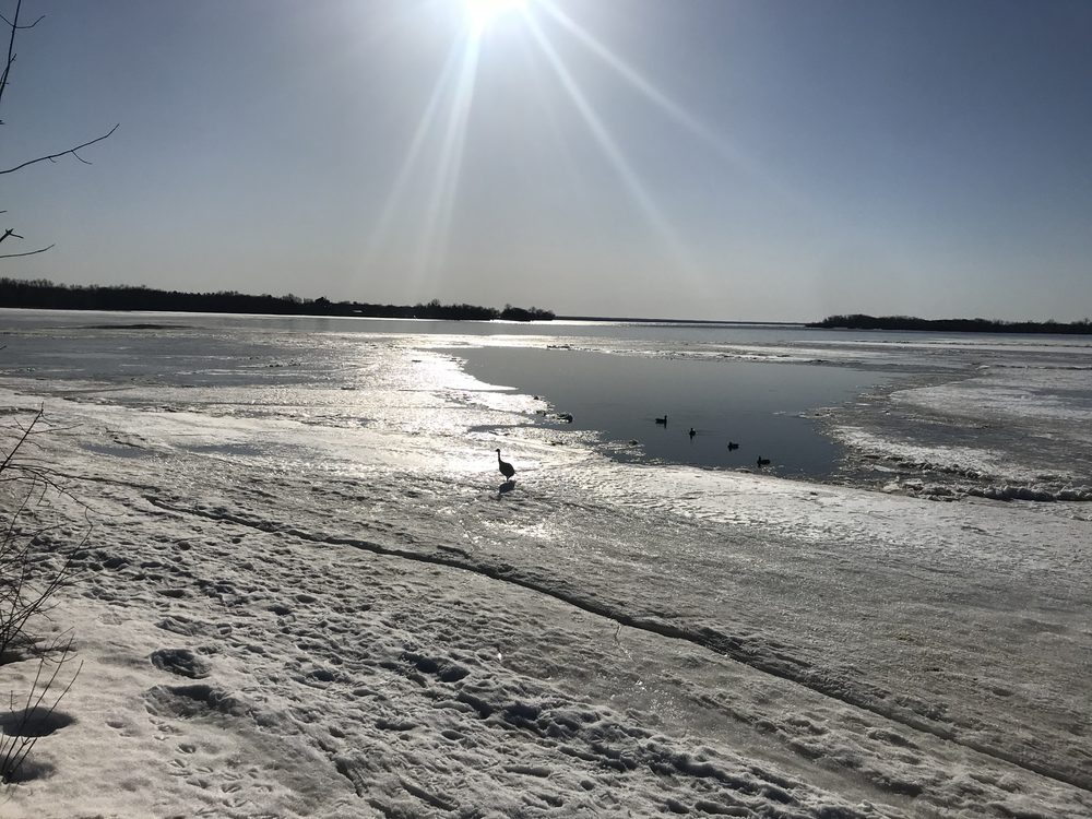 Bells Corners, Canada. 2021