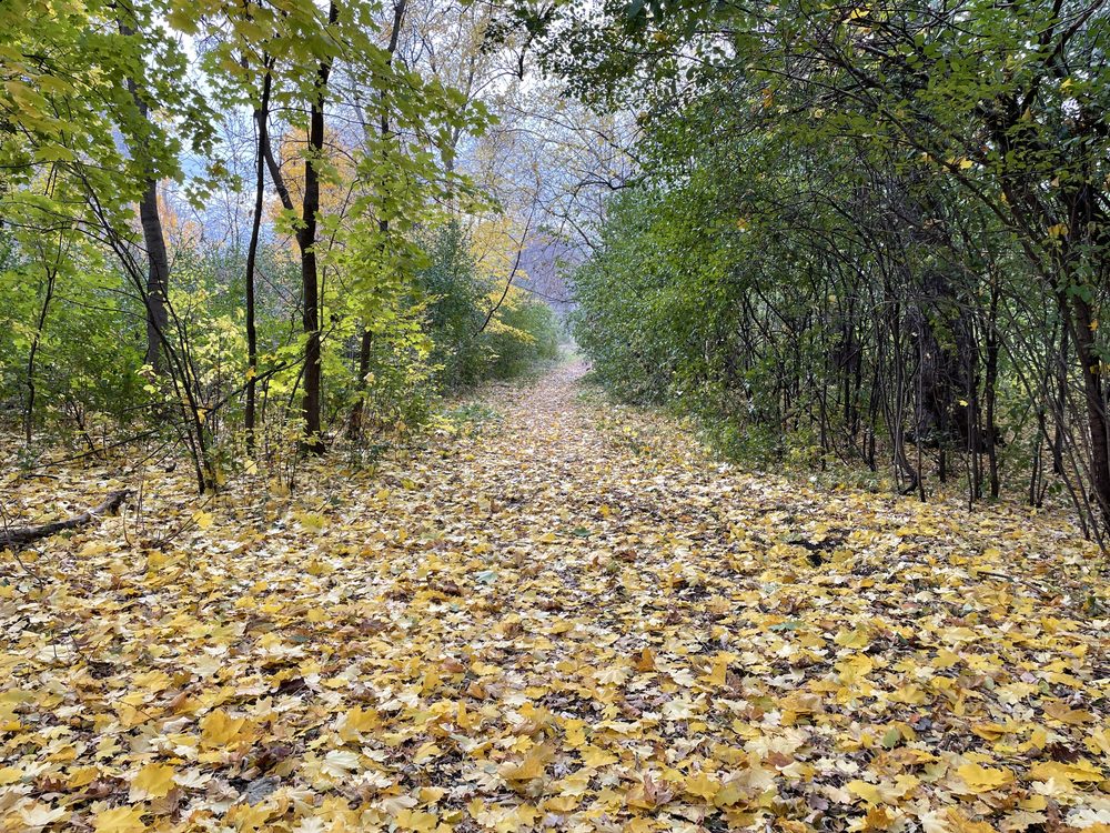 Bells Corners, Canada. 2021