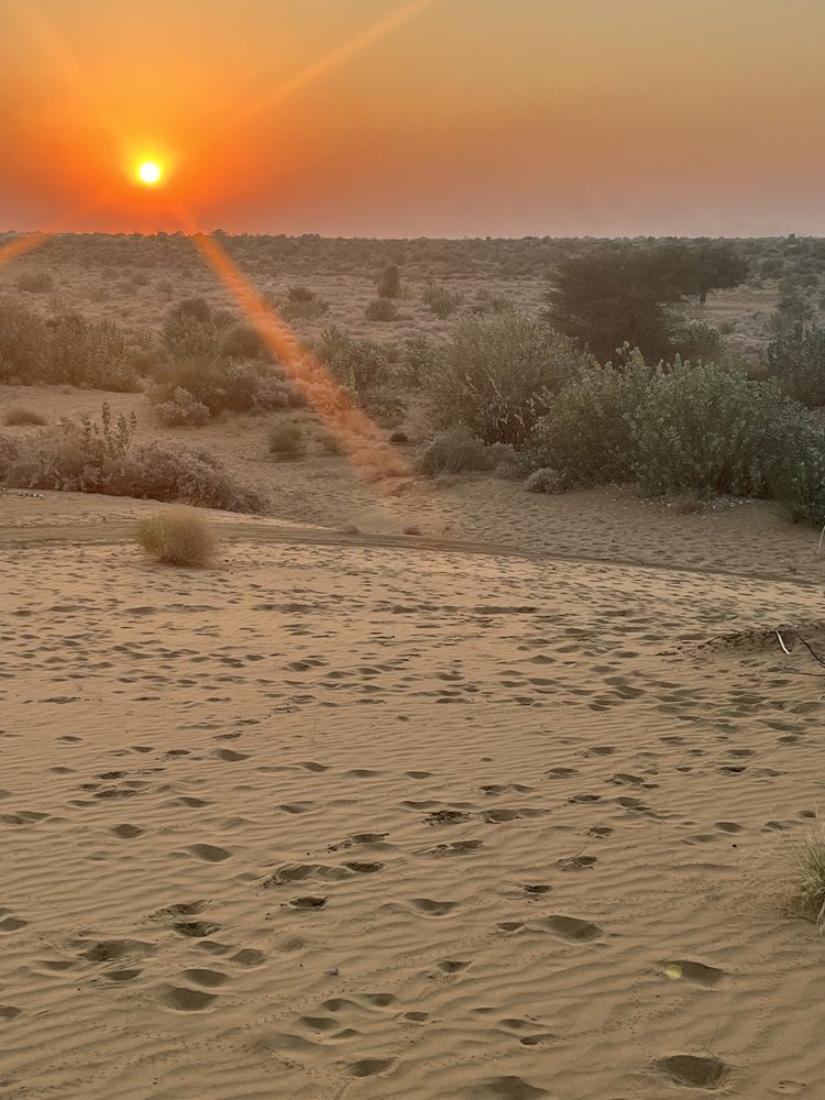 Jaisalmer, India. 2024