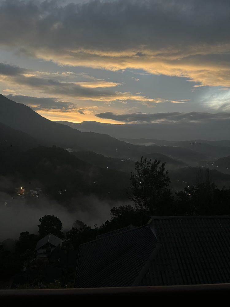 Munnar, India. 2024
