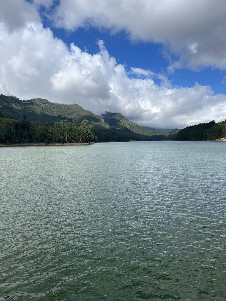 Munnar, India. 2024