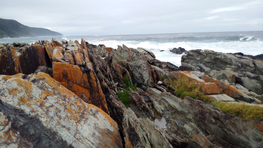 Kareedouw, South Africa. 2015