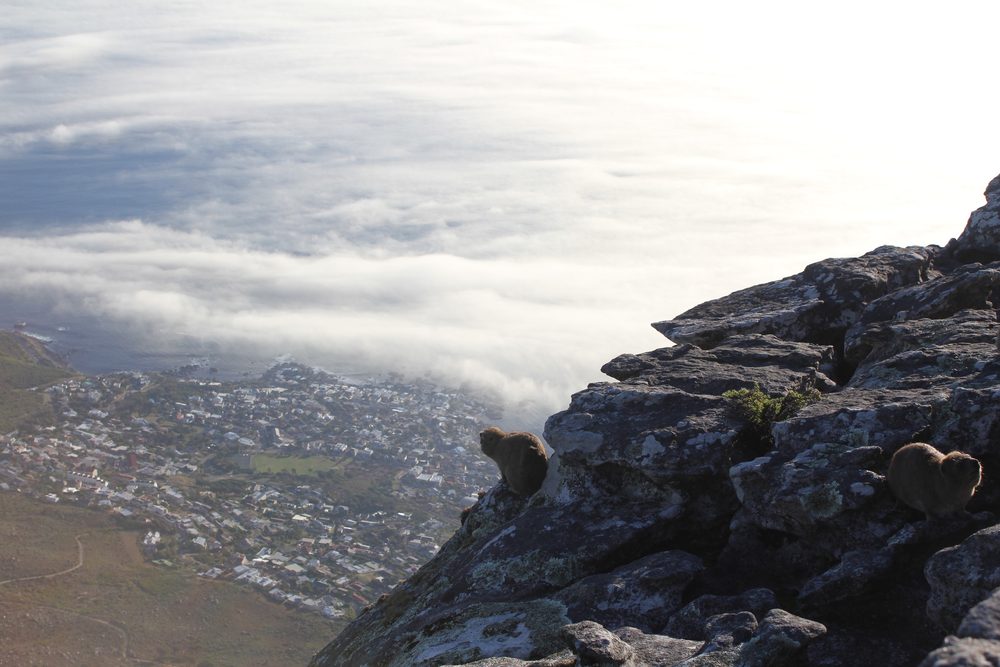Cape Town, South Africa. 2015