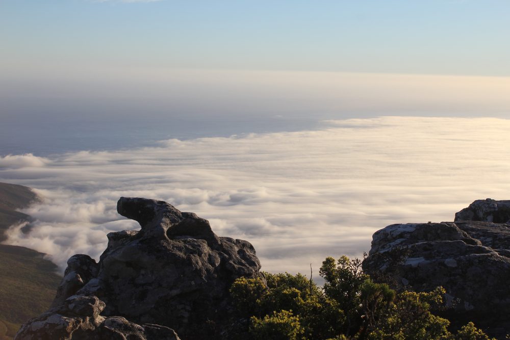 Cape Town, South Africa. 2015