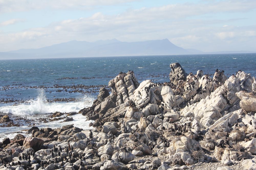 Cape Town, South Africa. 2015