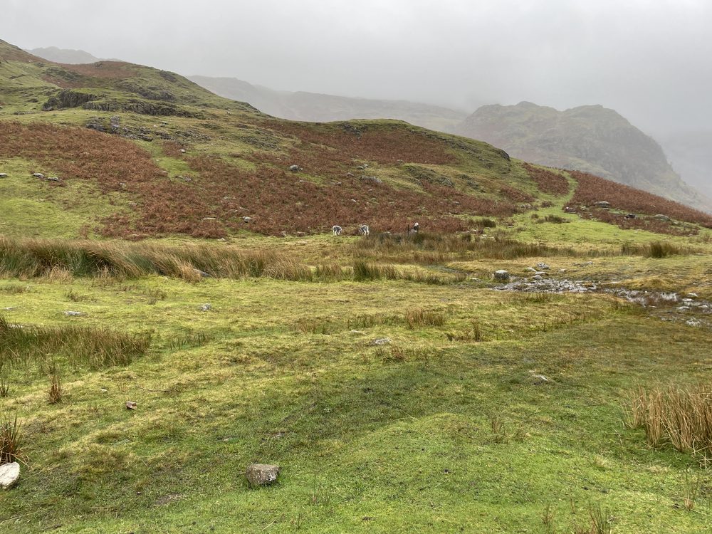 Ambleside, United Kingdom. 2023