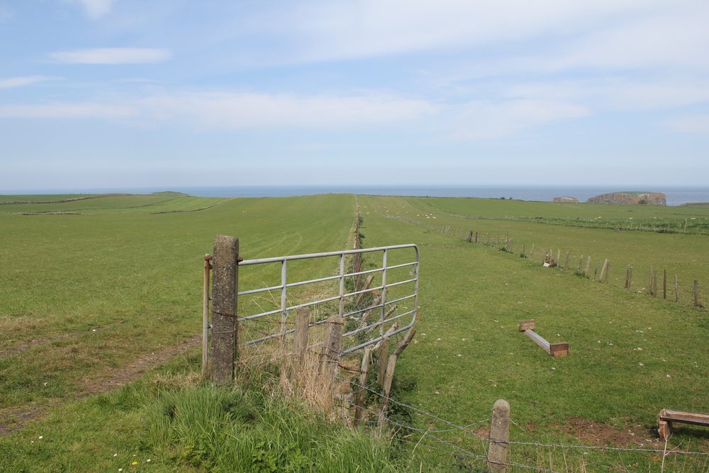 Bushmills, United Kingdom. 2016