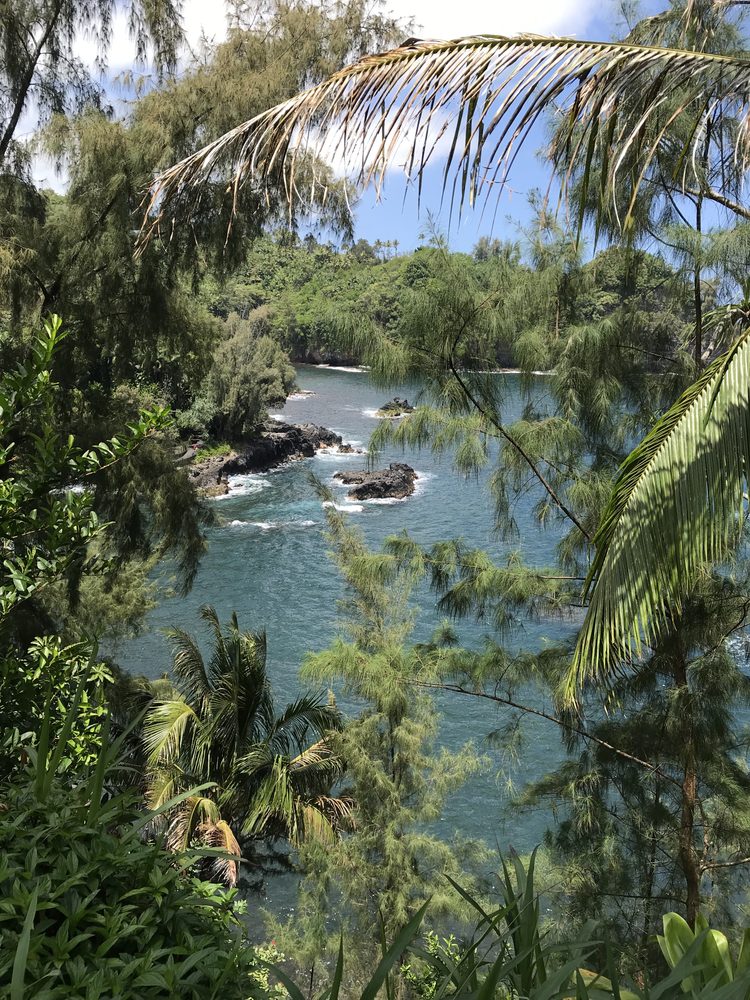 Papa'ikou, United States. 2019