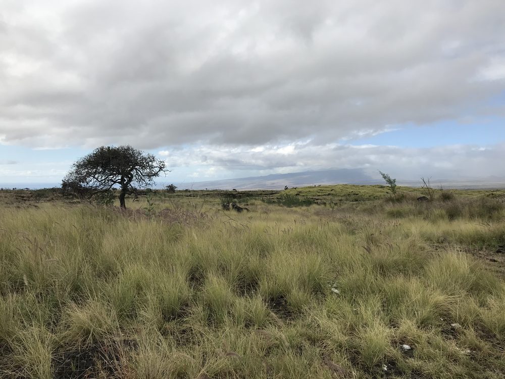 Waikoloa, United States. 2019