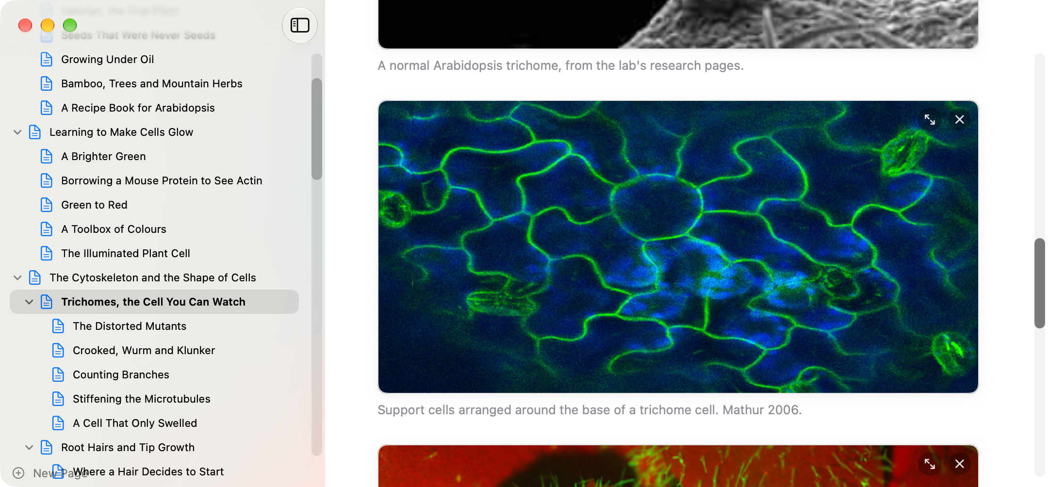 A page in Collect: a folder-based sidebar, a markdown intro, and a captioned diagram in the media well